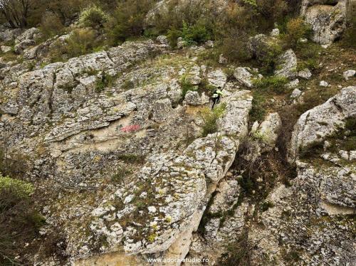 57598423 1196606080518184 6072549501267083264 n