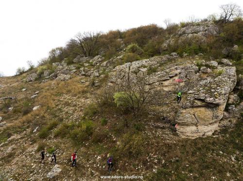 58382979 1196605780518214 8476701266754404352 n