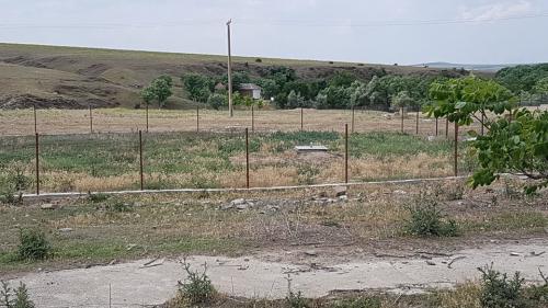 65878919 1247991478712977 5237827194314555392 o