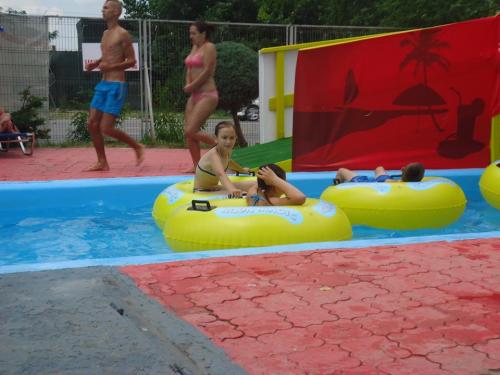 11535914 463044350541031 5711820239952400149 n