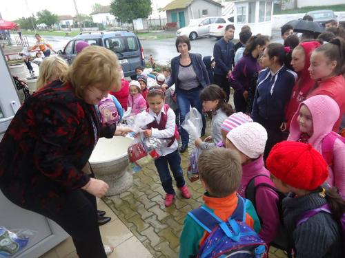 12592391 577143509131114 7036066953309964482 n