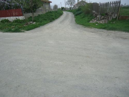 13007081 573836426128489 6334625318549977914 n