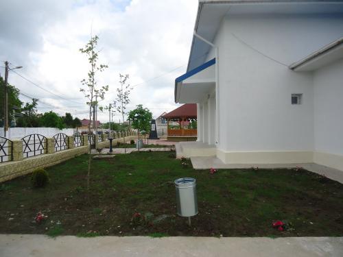 13240476 585136478331817 3300140919248755152 n