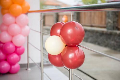 14947651 923451337788682 631021599010411819 n