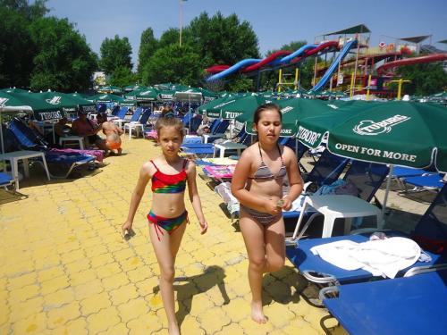 19510108 797716137073849 4517175164776331097 n