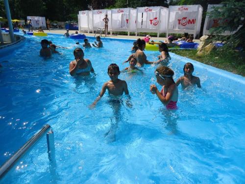 19553916 797716590407137 8004333825950425954 n