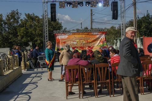 22449788 847769402068522 8493576943494993497 n