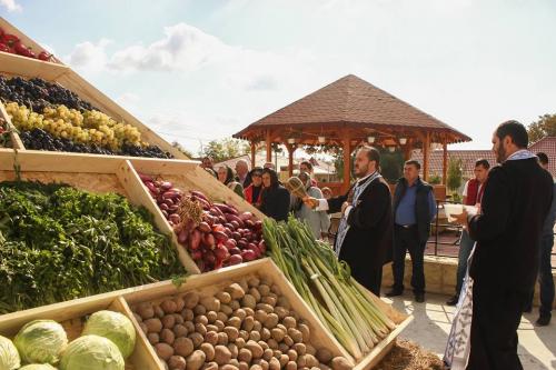 22449823 847769378735191 3707842278755482402 n