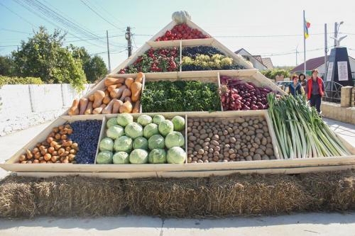 22490165 847770062068456 770805828006591286 n