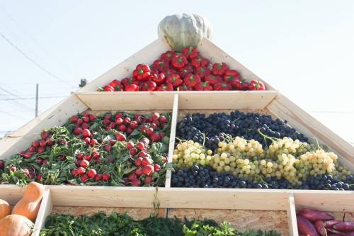 22528005 847768478735281 8683266399301251848 n