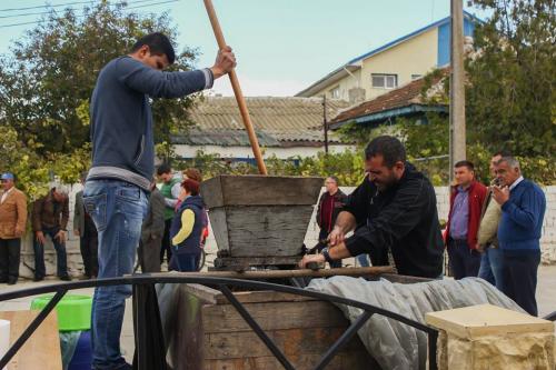 22528378 847775942067868 4575100411549882438 n